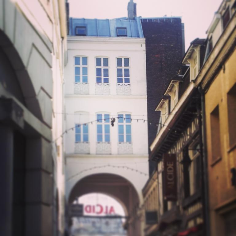 Lille Centre Ville, Beaux Arts Et Grand Palais, Bienvenue Chez Nestyou Lille Exteriör bild